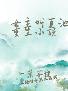 女主叫夏池宛的重生小说