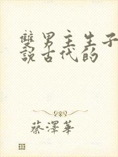 双男主生子文小说古代的