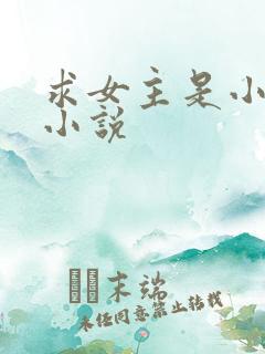 求女主是小三的小说