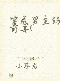 穿成男主的炮灰前妻(