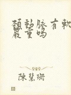 颈动脉有软斑块严重吗