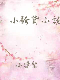 小骚货小说阅读