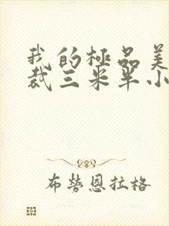 我的极品美女总裁三米半小说