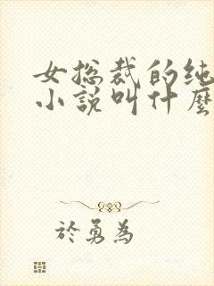 女总裁的纯百合小说叫什么