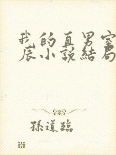 我的直男室友张辰小说结局