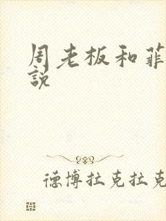 周老板和菲菲小说