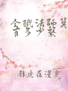 全职法师莫凡拥有多少系