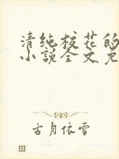 清纯校花的堕落小说全文免费阅读