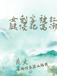 女刺客被扛起玉腿侵犯高潮小说