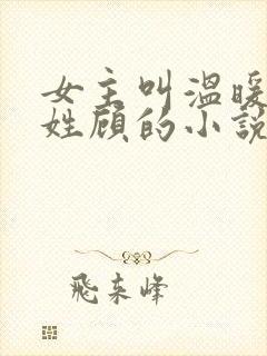 女主叫温暖男主姓顾的小说