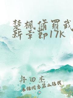 楚枫修罗武神最新章节17k