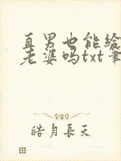 直男也能给人当老婆吗txt笔趣阁