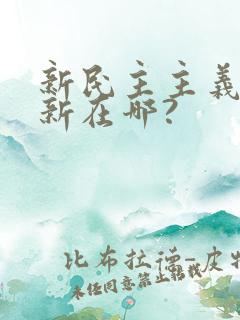 新民主主义革命新在哪?