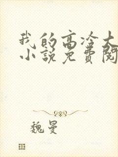 我的高冷大小姐小说免费阅读