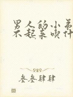 男人的小弟弟硬不起来吃什么药