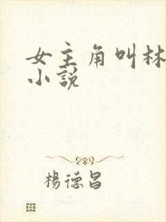 女主角叫林惜的小说