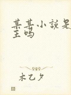 某某小说是双男主吗