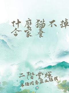 什么猫不掉毛适合家养