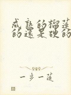 成熟的榴莲是软的还是硬的