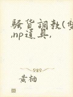 骚货调教(双性,np道具,