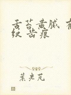 舌苔黄腻 有裂纹 齿痕