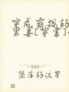 穿成霸总的炮灰男妻[穿书]稚晚