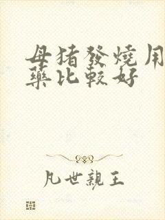 母猪发烧用什么药比较好