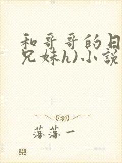 和哥哥的日夜(兄妹h)小说