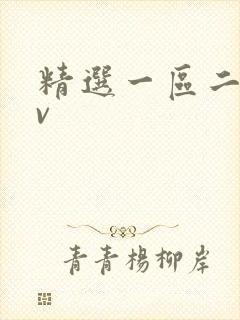 精选一区二区av
