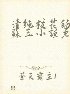 清纯校花的日常苏玉小说免费阅读最