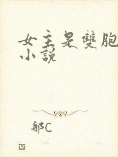 女主是双胞胎的小说