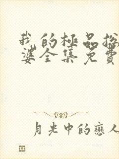 我的极品总裁老婆全集免费