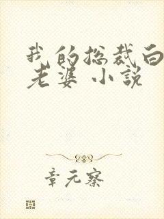 我的总裁白富美老婆 小说