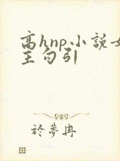 高hnp小说女主勾引