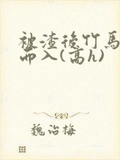 被渣后竹马趁虚而入(高h)