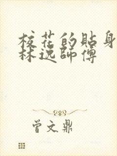 校花的贴身高手林逸师傅