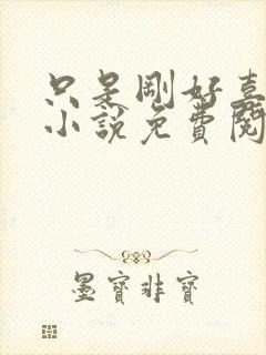 只是刚好喜欢你小说免费阅读全文