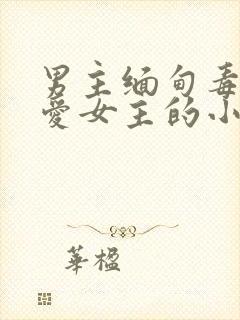 男主缅甸毒枭超爱女主的小说