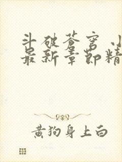 斗破苍穹 小说最新章节精校版