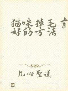 猫咪掉毛有没有好的方法