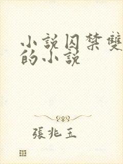 小说囚禁双男主的小说