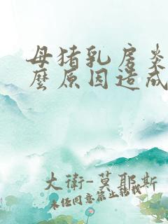 母猪乳房炎是什么原因造成的