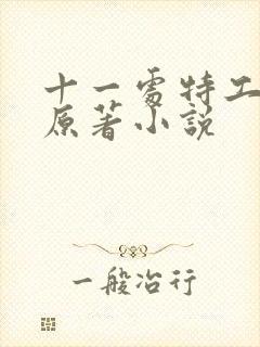 十一处特工皇妃原著小说