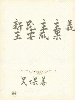 新民主主义革命主要成果