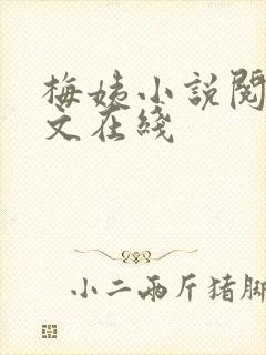 梅姨小说阅读全文在线