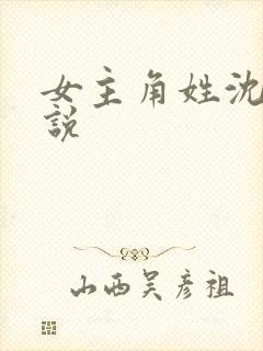 女主角姓沈的小说