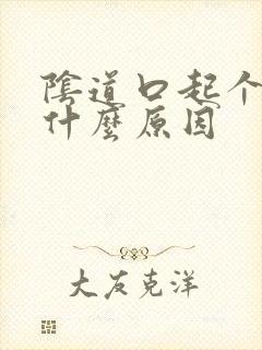 阴道口起个黄水什么原因