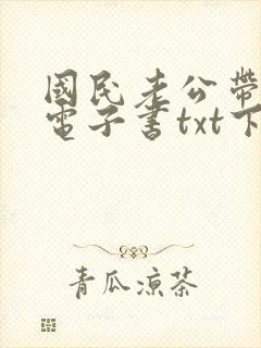 国民老公带回家电子书txt下载完整版