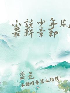 小说少年风水师最新章节