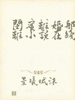 闺蜜离婚那我也离小说在线阅读